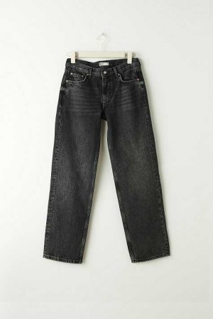 Black Women Gina Tricot Low Straight Petite Jeans | 21WHIQETY